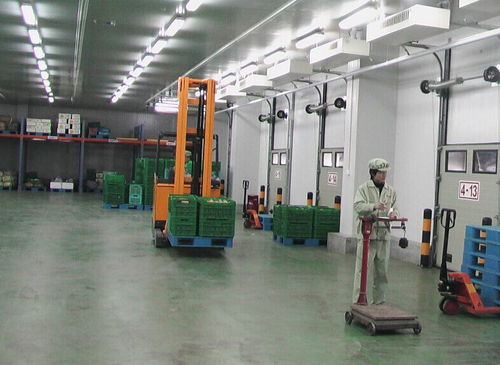 上海至衡阳冷藏物流专线 专业恒温保鲜，守护每一程新鲜